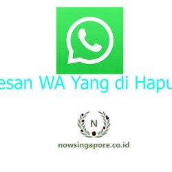 Cara Membaca Pesan Yang Sudah Dihapus di WA Tanpa Aplikasi