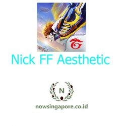 Nick FF Aesthetic