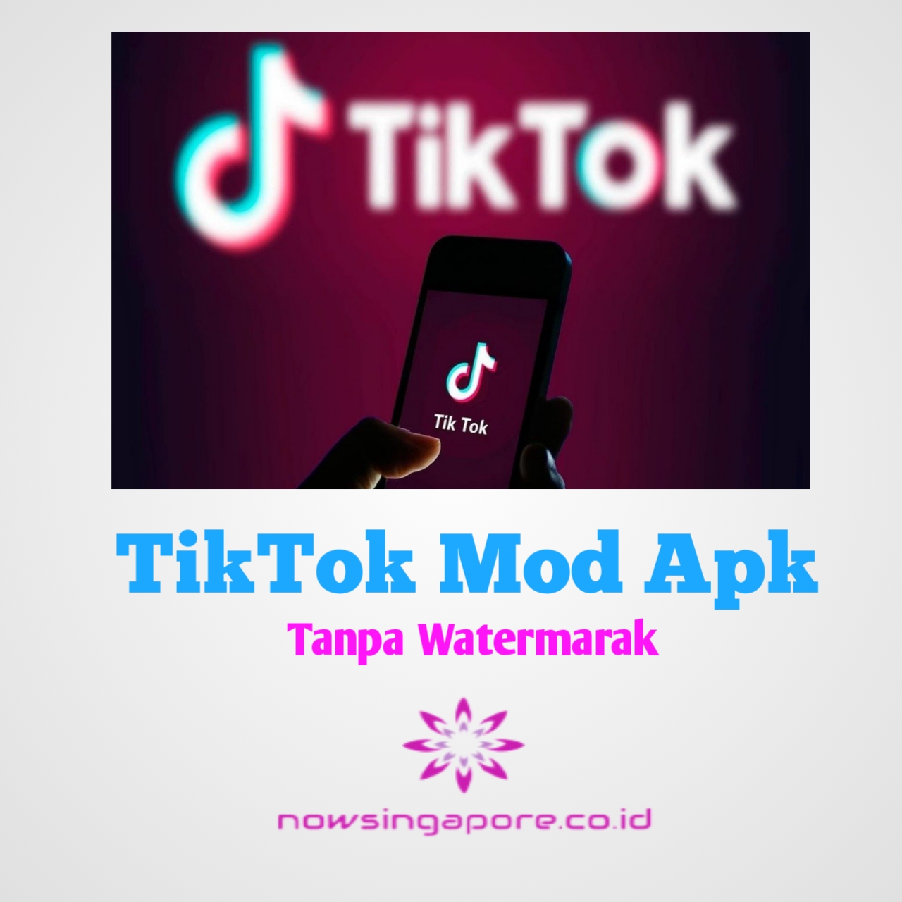 TikTok Mod Apk Tanpa Watermark