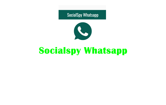 Memantau Aktivitas Socialspy Whatsapp