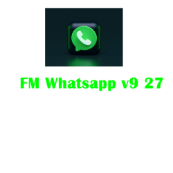 FM Whatsapp v9 27