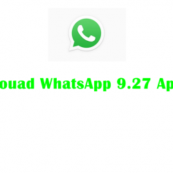 Fouad WhatsApp 9 27 Apk