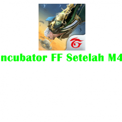 Incubator FF Setelah M4a1