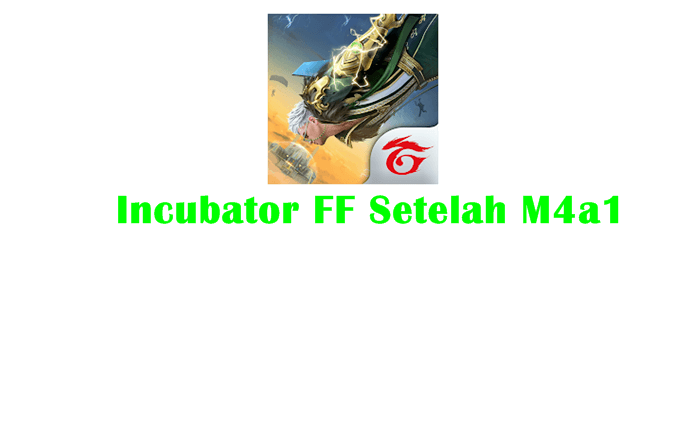 Incubator FF Setelah M4a1